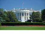 President club
