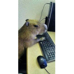 El imperio Capybara