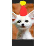 Party Animals Fan club!