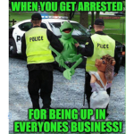 Cop frogs