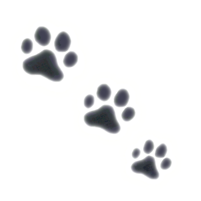Emissive glowing cat paws glow