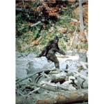 bigfoot belivers Group Thumbnail