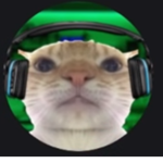 TEH G4NG
