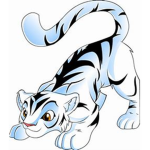 Tantrum Tiger Team