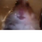 Gøødìėś