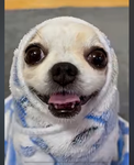 yaboiz