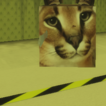 (FLOPPA) Backrooms Experience