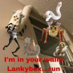 Lankybox hate