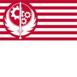 the brotherhood of steel plaldins