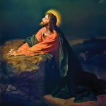 † The Light of Christ †