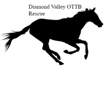 Diamond Valley OTTB Rescue