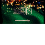 Saudi Arabia group