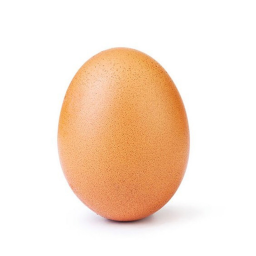 Stare At Eggs For Reward!