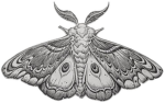 The Moth’s Nest.