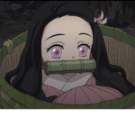 Welcome to the Anime Fandom!