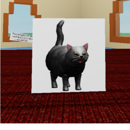 Raisa A Kitty
