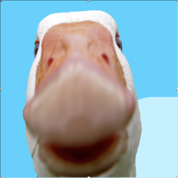Hamster clicker