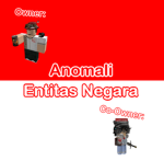 Anomali Entitas Negara