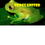 FROGS TOGETHER