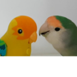 Love da bird