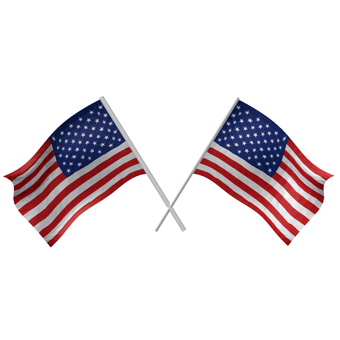 USA Double Flags