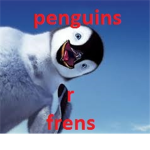 penguins r frens