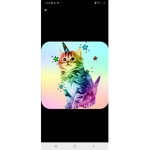 I LOBE CATS
