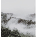 Misty########