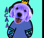 ACAA studio - gruppo Roblox