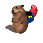 Banjo and Chomik