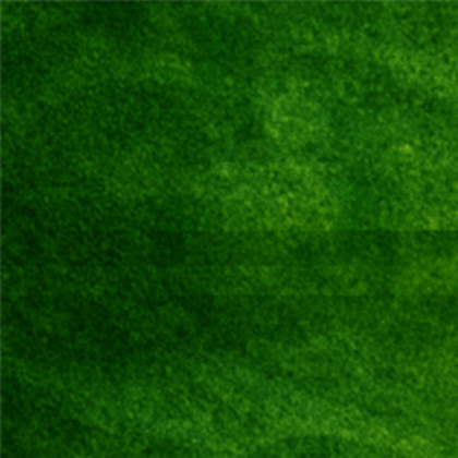 Green Carpet Roblox decal