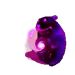 Galactic Chomik