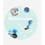 The Cube people