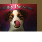 Team good dogs