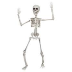 Roblox Skeletons