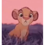 Thelionkinxo