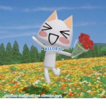 - allory -