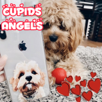 *- cupids angels -*