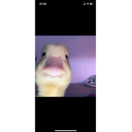 skskskks