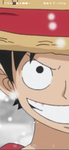 THE ONE PIECE GROUP!!!!