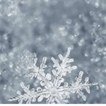 Talia’s Snowflakes