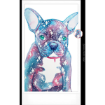 Galaxyy Dogs Group