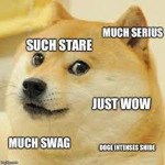 We are doge!