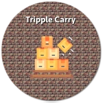 Triple Carry