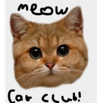 Cat Club For My Cool Friends!