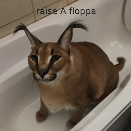 Raise A floppa