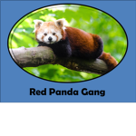 Red Panda Gang