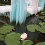 lotus-eater