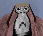 sadow gamer sqaud