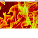 Fire kid Official group